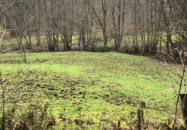 Tocht Stappen Nassogne - Masbourg Masbourg - Photo