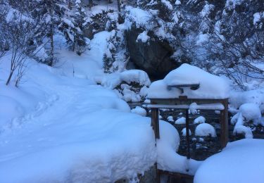 Tocht Sneeuwschoenen Orsières - Champex Lac - Arpette - Champex Lac - Photo