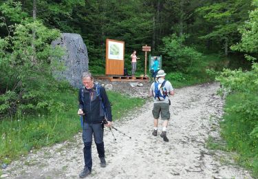 Trail Walking Lélex - rando n1 - Photo
