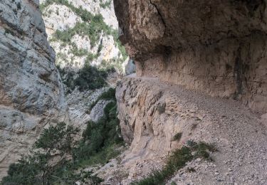 Randonnée Marche Sant Esteve de la Sarga - Congos de mont rebeil - Photo