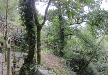 Tour Zu Fuß Monte e Queimadela - Trilho dos Apanha Pedrinhas - Photo