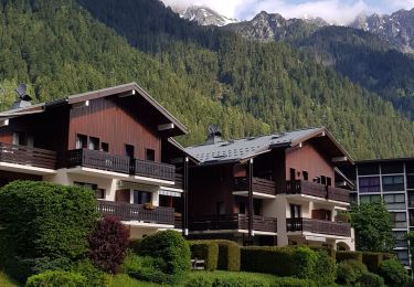 Randonnée Marche Chamonix-Mont-Blanc - les tiens par Les Praz de Chamonix et Les bois - Photo