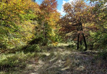 Randonnée Marche Aurel - Font de Margot / Jas Forest - Photo