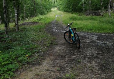 Trail Electric bike Domèvre-sur-Vezouze - repérage rando equiplaine 11 juillet 21 - Photo