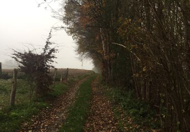 Tour Wandern Braine-le-Comte - 80.968 Arrêts Verts : Hennuyères - Braine le Comte - Photo