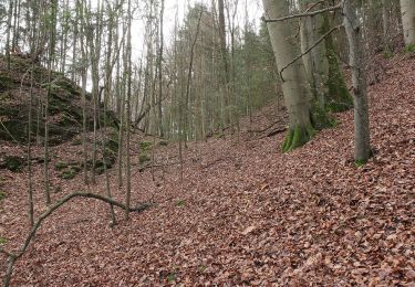 Trail On foot Pretzfeld - Rundweg Unterzaunsbach-Schweinthal - Photo