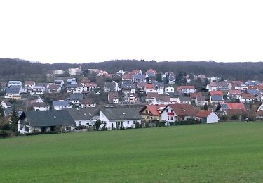 Excursión A pie Üchtelhausen - Schweinfurt - Fichtenbusch - Photo