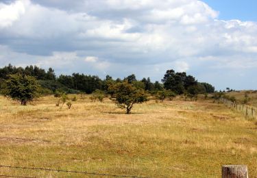 Tocht Te voet Grömitz - Klostersee-Route, Grömitz - Photo