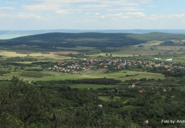 Excursión A pie Szentbékkálla - Boros Ádám Tanösvény (KT) - Photo