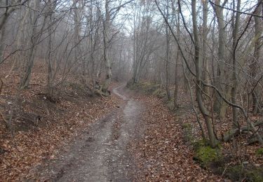 Randonnée A pied Naumburg (Saale) - Geiersberg&Galgenberg Wanderwegenetz - Photo