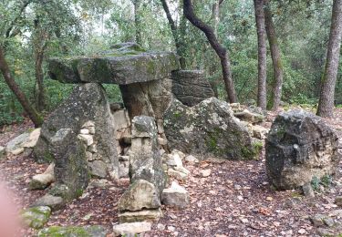 Tour Wandern Cabasse - cabasse - Photo