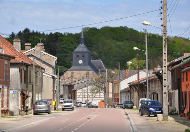 Tour Zu Fuß Beaulieu-en-Argonne - Circuit de l'Ermitage de Saint-Rouin - Photo