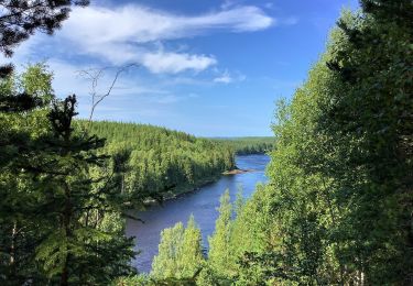 Tocht Te voet  - Flottarstigen - Photo