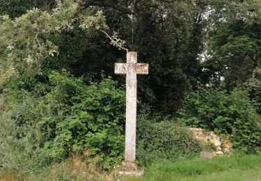 Randonnée Marche Lavoux - Lavoux - Photo