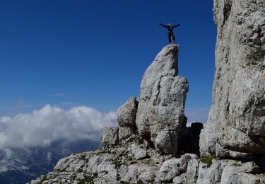 Percorso A piedi Tarvisio - Sentiero Anita Goitan - Photo