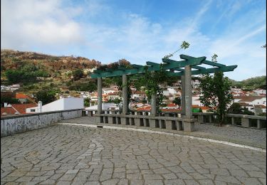 Tocht Te voet Monchique - Árvores da Vila (Rota das Árvores Monumentais) - Photo
