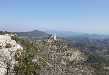 Trail Walking Plan-d'Aups-Sainte-Baume - plan d aups - Photo