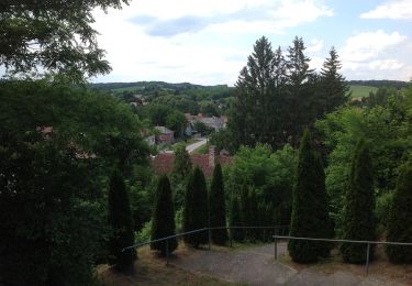 Tour Zu Fuß Zalamerenye - K+ - Photo