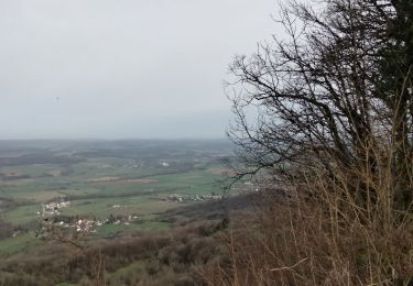 Randonnée Marche Besançon - challuz. grande braque - Photo