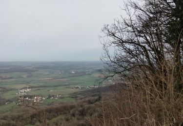 Tour Wandern Besançon - challuz. grande braque - Photo