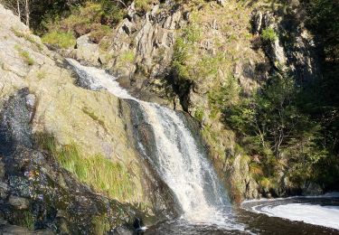 Randonnée Marche Malmedy - La cascade du Bayehon - Photo