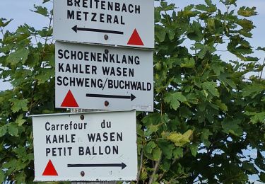 Tour Wandern Sondernach - Hommage à  Catherine - Photo