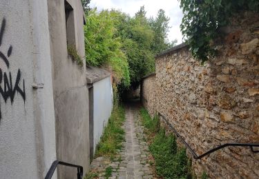 Trail Walking Igny - Entre jardins et forets - Photo