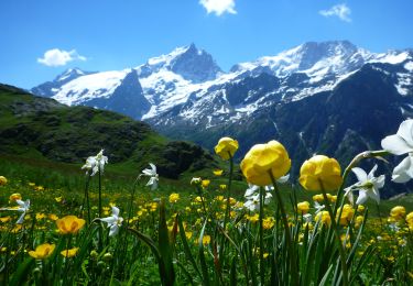 Tour Zu Fuß La Grave - Le Chazelet - Refuge du Pic du Mas de la Grave en boucle - Photo