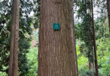 Tour Wandern Tervuren - Tervuren bis notte - Photo