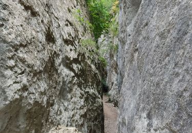 Trail Walking Cheval-Blanc - gorge du regalon - Photo