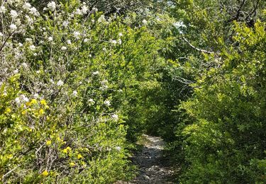 Tocht Stappen Venasque - murs - Photo