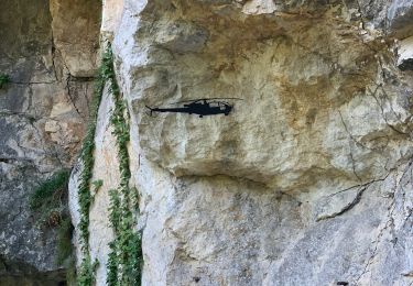 Tour Wandern Châtelus - Cirque du Bournillon - Photo