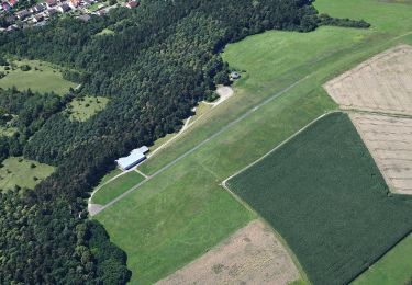 Tour Zu Fuß Mosbach - Rundwanderweg Mosbach 6: Hamberg-Weg - Photo