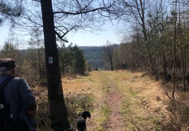 Trail Walking Aywaille - Deigne (Bergerie) 16 km - Photo