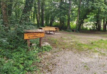 Trail Walking Wolschwiller - Rando 05/07/2024 - Photo