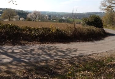 Tocht Stappen Ferrières - Ferrières  - Photo