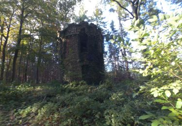 Randonnée Marche Huy - BEN AHIN CHATEAU - Photo