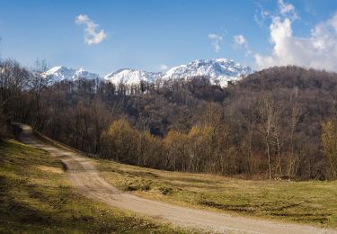 Trail On foot Crespadoro - Anello Ecoturistico Piccole Dolomiti - Photo