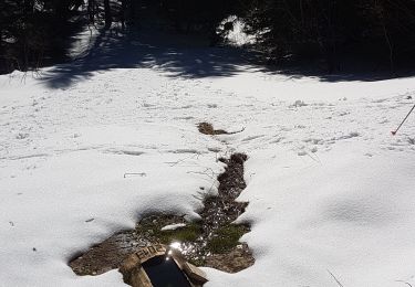 Percorso Racchette da neve Autrans-Méaudre en Vercors - autrans1 - Photo