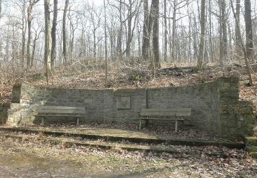 Excursión A pie  - Erfurter Steigerwald: Gelbes Kreuz - Photo