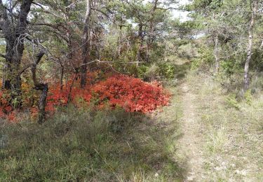 Trail Walking Mirabel-et-Blacons - mirabelle armurier - Photo