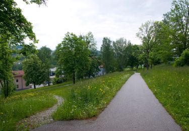 Trail On foot Viechtach - Viechtach Rundweg Nr. 4 - Photo