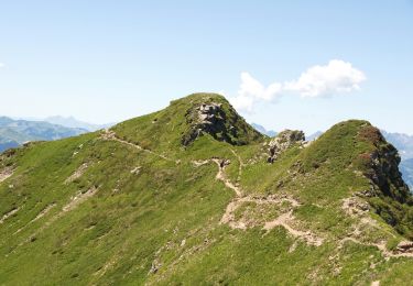 Tour Wandern Les Houches - Trajet Aiguillette des Houches - Photo