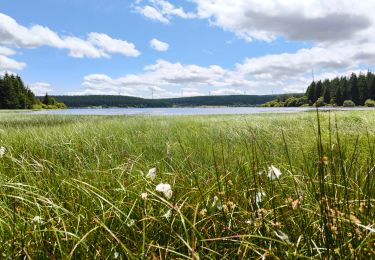 Tocht Stappen Monts-de-Randon - Charpal - Photo