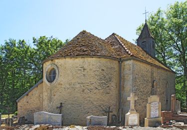 Randonnée A pied Billy-lès-Chanceaux - Sentier de l’Abbaye d’Oigny - Photo