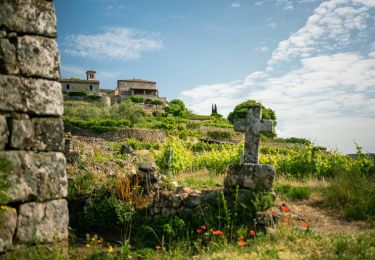 Tour Wandern Ribes - Ribes Planzolles 17km - Photo