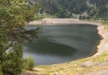 Tour Wandern Urbeis - randonnée des 3 lacs, lac noir , lac blanc et lac du former ( lac des truites) Vosges  - Photo