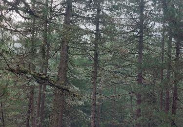 Tour Wandern Quenza - trou de la bombe - Photo