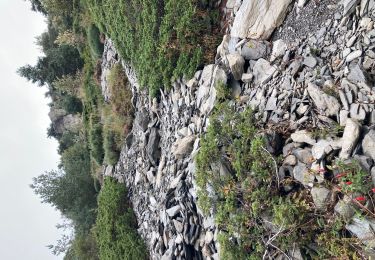 Tocht Stappen Sainte-Eulalie - Mont Gerbier de Jonc - Photo