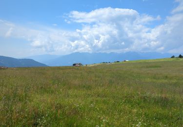 Tour Wandern Lüsen - Lüsner Alm - Rastnerhütte - Photo